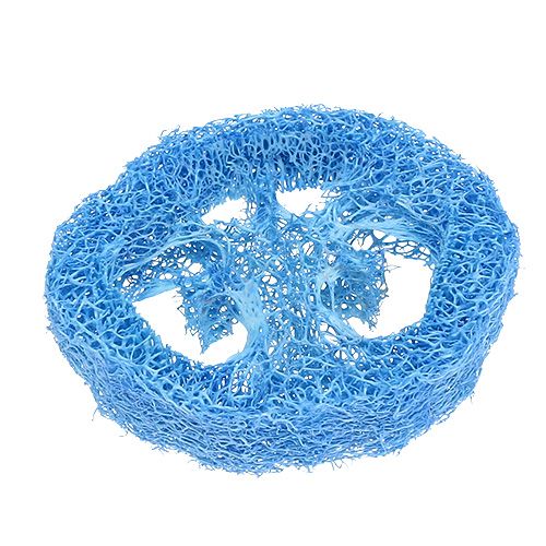 Floristik24 Luffa Scheiben Himmelblau 25 St