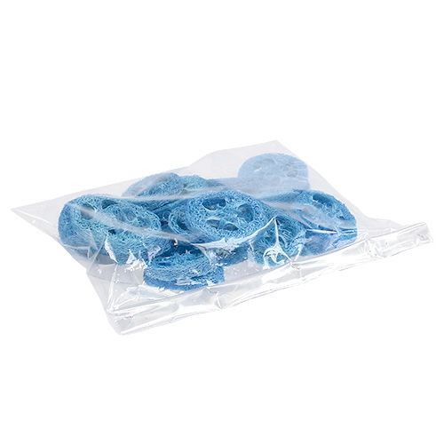 Floristik24 Luffa Scheiben Himmelblau 25 St
