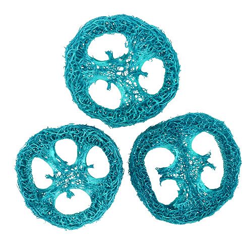 Luffa Scheiben Türkis 25St Luffa Scheiben Türkis 25St