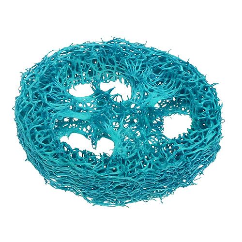 Luffa Scheiben Türkis 25St