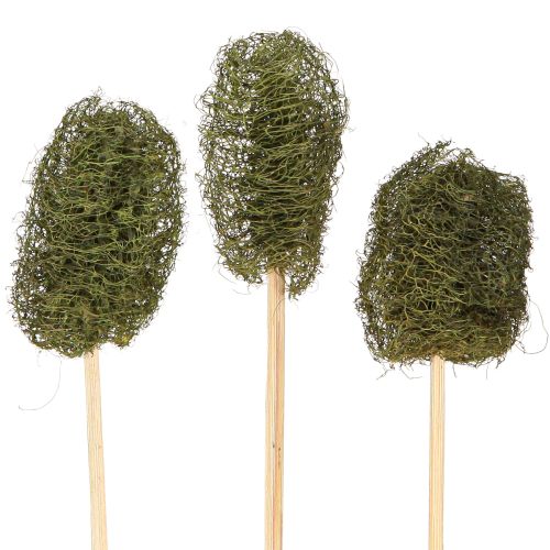 Floristik24 Luffa klein am Stiel Schwammgurke Dunkelgrün 5-7cm 25 St