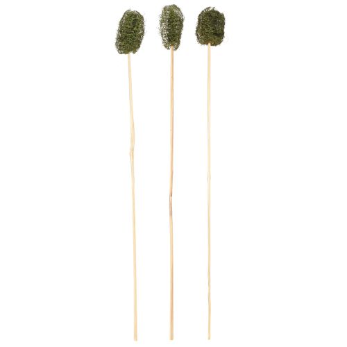 Floristik24 Luffa klein am Stiel Schwammgurke Dunkelgrün 5-7cm 25 St
