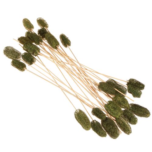 Artikel Luffa klein am Stiel Schwammgurke Dunkelgrün 5-7cm 25 St