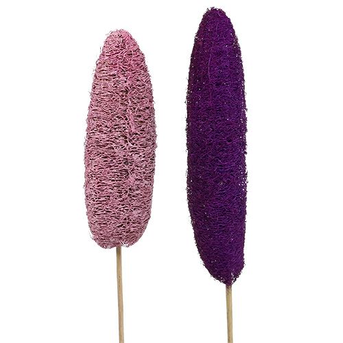 Luffa am Stiel groß Rosa, Erika 8cm - 30cm 25St