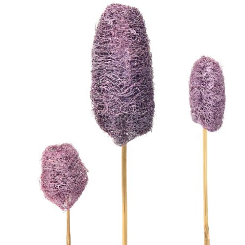 Luffa am Stiel klein getrocknet Deko Berry 5-12cm 25St