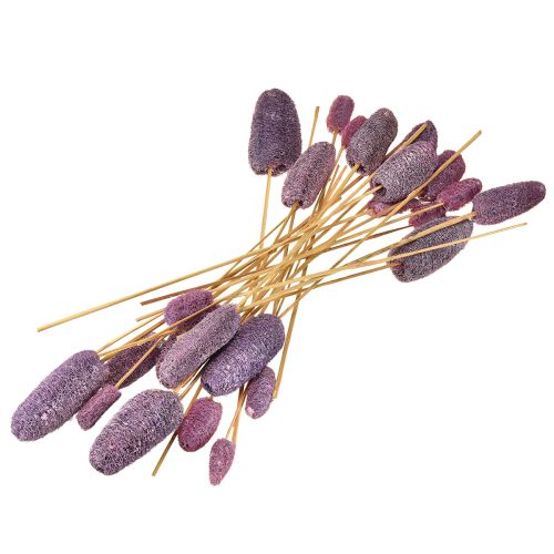 Artikel Luffa am Stiel klein getrocknet Deko Berry 5-12cm 25St