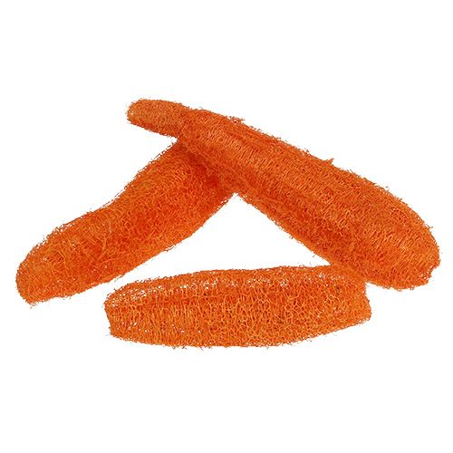 Floristik24 Luffa groß Orange 20 St