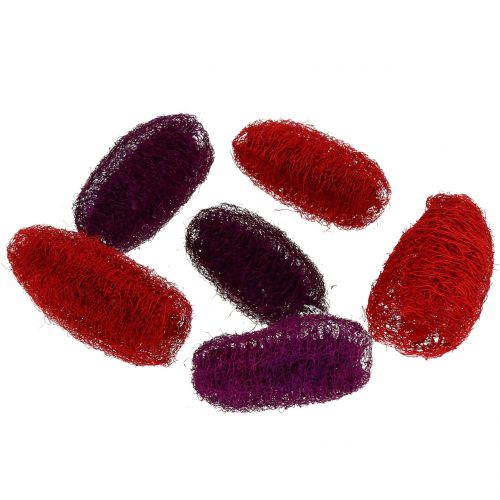 Floristik24 Luffa sortiert Violett, Weinrot 9cm – 12cm 50St