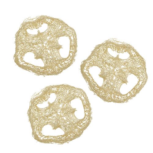 Floristik24 Luffa Scheiben gebleicht Ø5cm 48 St