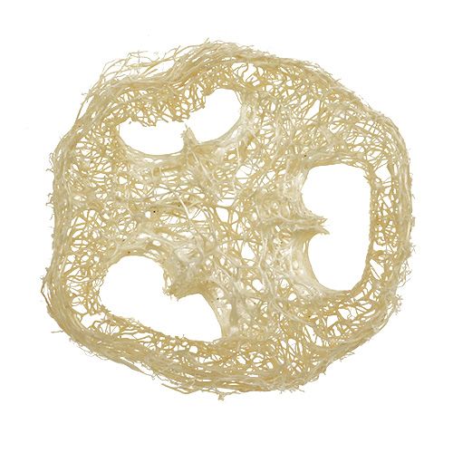 Floristik24 Luffa Scheiben gebleicht Ø5cm 48 St