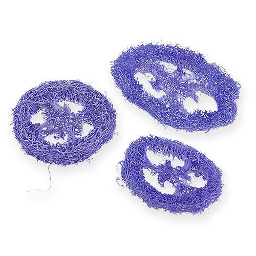 Floristik24 Luffa Scheiben Hellviolett 25 St