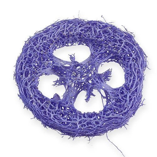 Floristik24 Luffa Scheiben Hellviolett 25 St