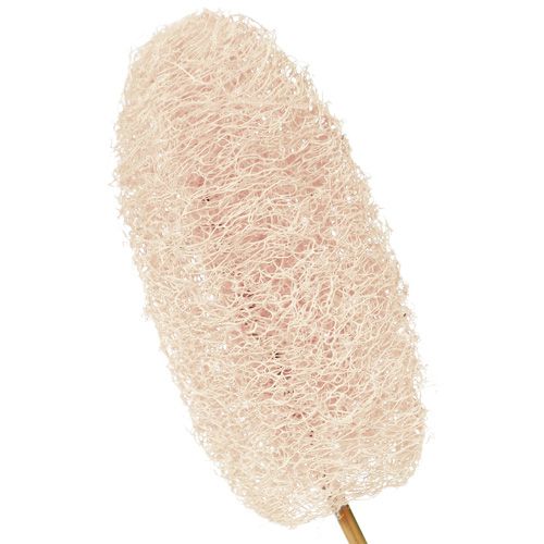 Artikel Luffa klein am Stiel gebleicht 25St
