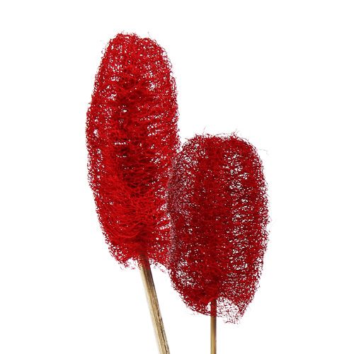 Artikel Luffa groß am Stiel Rot 25 St