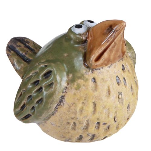 Floristik24 Lustiger Vogel Keramik Deko Frühling Grün 9×7,5×6,5cm 3 St