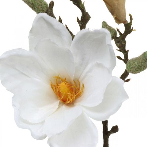Artikel Magnolie Weiß Kunstblume mit Knospen am Deko Zweig H40cm