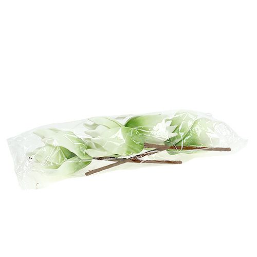 Floristik24 Magnolienblüte aus Foamstoff Weiß-Grün Ø10cm L26cm 4St
