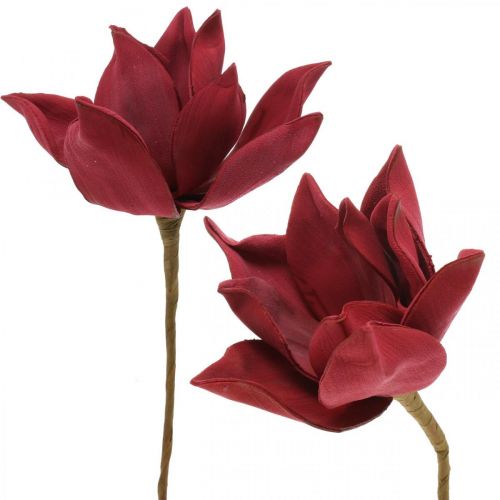 Floristik24 Künstliche Magnolie Rot Kunstblume Foam Blumendeko Ø10cm 6St