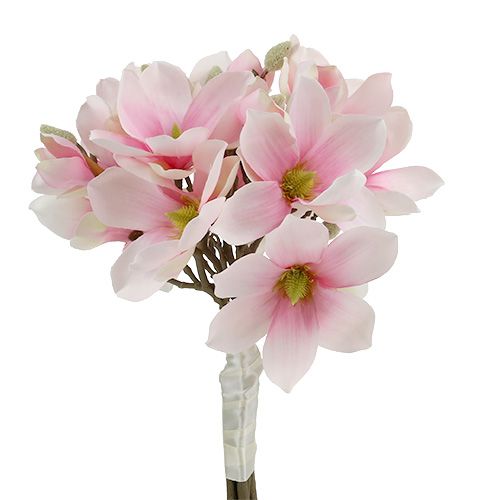 Floristik24 Magnolienbund Rosa 40cm 5St