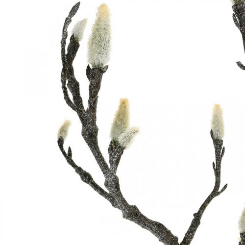 Artikel Frühling, Magnolienast mit Knospen, künstliche Dekozweig Braun, Weiß L100cm