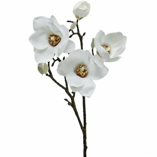 Floristik24 Magnolienzweig Weiß Dekozweig Magnolie Kunstblume