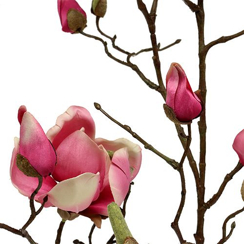 Floristik24 Magnolienzweig Violett 110cm 1St