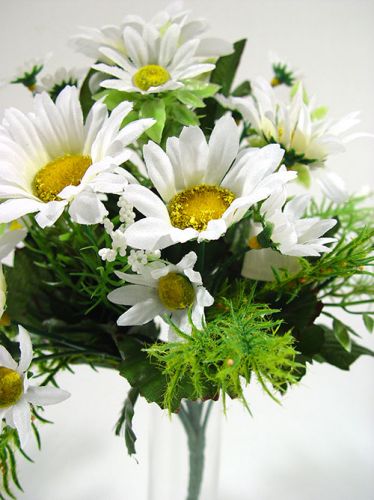 Floristik24 Margeritenstrauß klein