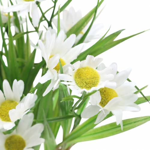 Floristik24 Margeritenstrauß mit Dekogras 37cm