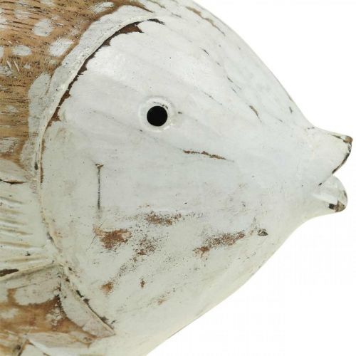 Floristik24 Maritime Deko Fisch Holz Holzfisch Shabby Chic 17×8cm