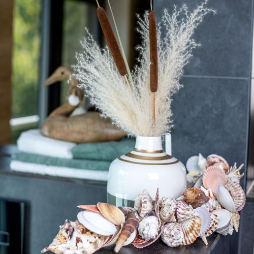 Floristik24 Maritime Hängedeko Muscheln und Seeschnecken Deko 82cm