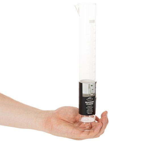 Messzylinder Glas 250 ml mit Sockel 30 cm für Dekoration und Anzucht | Floristik24.at