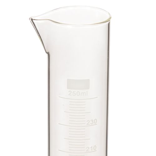 Messzylinder Glas 250 ml mit Sockel 30 cm für Dekoration und Anzucht | Floristik24.at