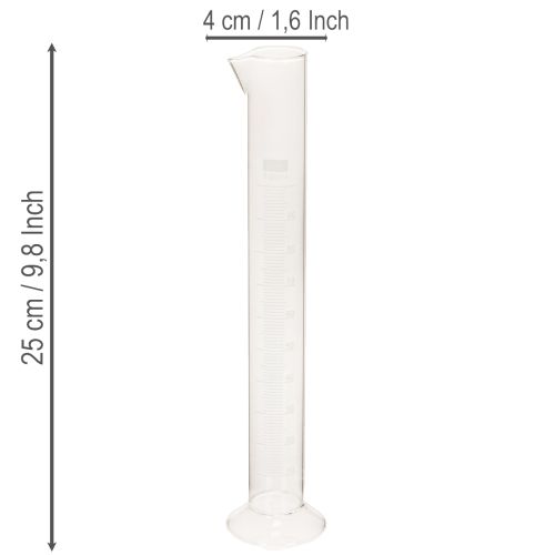 Messzylinder aus Glas mit Sockel und Skala 100 ml 25 cm transparent | Floristik24.at