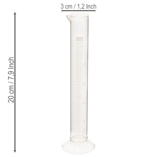 Glas-Messzylinder mit Sockel 50 ml 20 cm Transparent | Floristik24.at