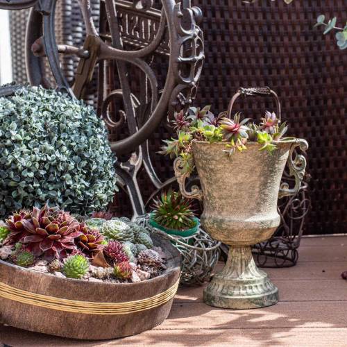 Floristik24 Metallpokal Kelch Moosgrün Beige Ø16cm H24cm