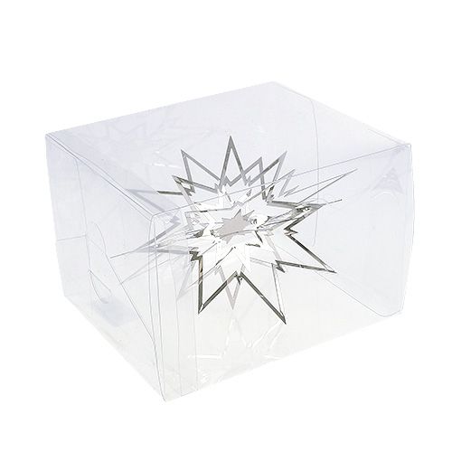 Floristik24 Metallstern groß zum Hängen Silber 24cm