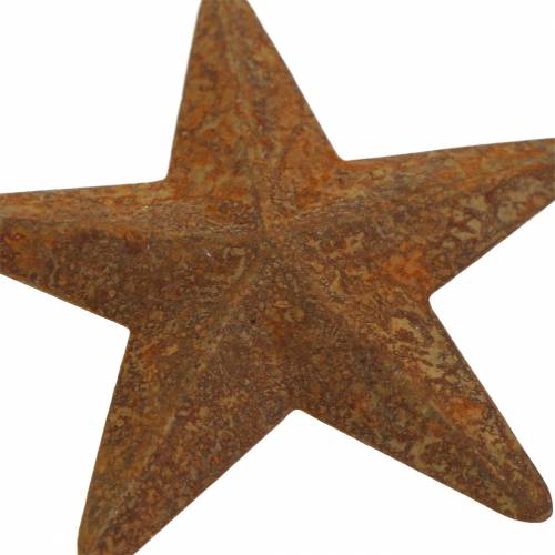 Floristik24 Stern Edelrost Metall 5cm 24 St