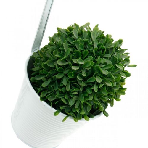 Floristik24 Pflanzgefäß, Blumentopf zum Hängen, Blumendeko, Hängetopf Weiß Ø13,5cm