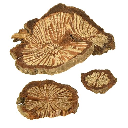 Artikel Mini Holzscheiben Betelnuss Deko mit Maserung 1-4,5cm 300g