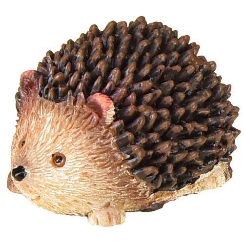 Floristik24 Mini Igel Deko Figuren Herbst Handbemalt 4×2,5×2cm 6 St