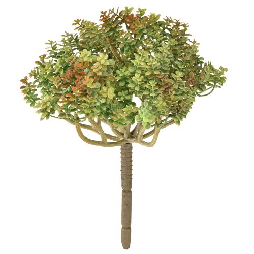 Mini Sukkulente künstlich Grün Kunstpflanze mit Stiel H23cm