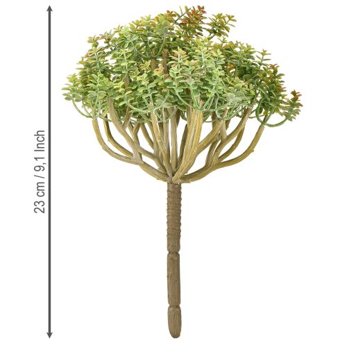 Artikel Mini Sukkulente künstlich Grün Kunstpflanze mit Stiel H23cm
