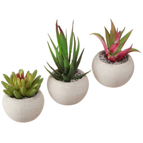 Floristik24 Mini Sukkulenten im Topf Künstliche Pflanzen Deko Ø6,5cm 6St
