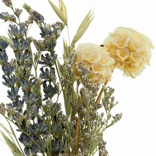 Floristik24 Mini Trockenblumenstrauß Boho, Trockenblumen Floristik L22cm
