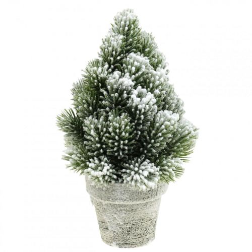 Floristik24 Mini Weihnachtsbaum im Topf Künstlich Beschneit Ø14cm H24cm