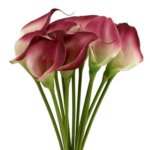 Artikel Mini Calla künstlich 28cm erika,creme 12St