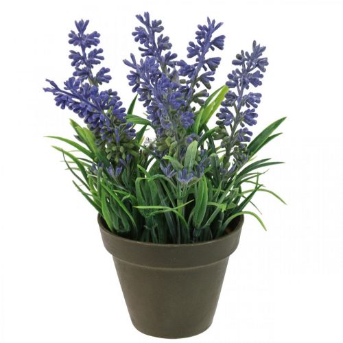 Floristik24 Mini-Lavendel im Topf Kunstpflanze Lavendel Deko H16cm