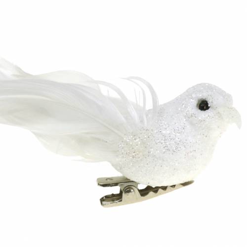Floristik24 Mini Taube am Clip 9cm 2St