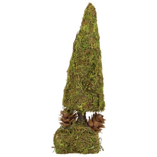 Floristik24 Mini Weihnachtsbaum künstlich Tischdeko Moosbaum H18cm