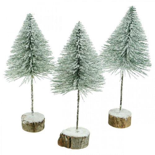 Floristik24 Deko-Tannen, Winterdeko, Weihnachtsbaum, Advent H30/32cm Ø13,5cm 3er-Set